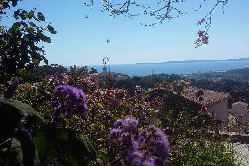 Studio 4 Pers Coeur Du Lavandou 5Mn A Pied Des Plages 르 라방두 외부 사진