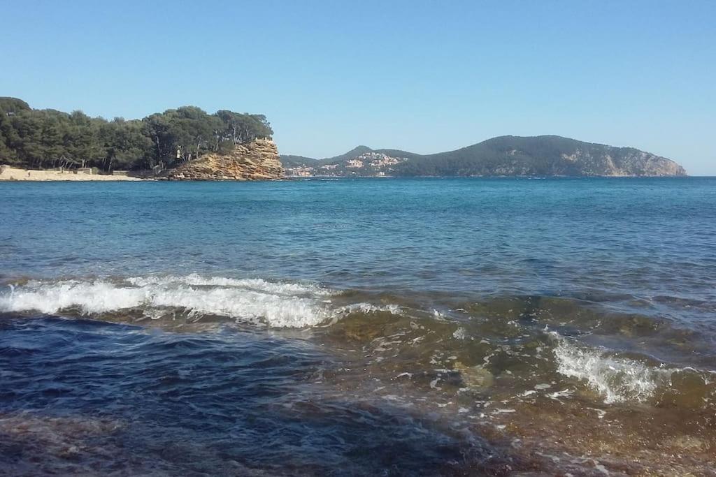 Studio 4 Pers Coeur Du Lavandou 5Mn A Pied Des Plages 르 라방두 외부 사진